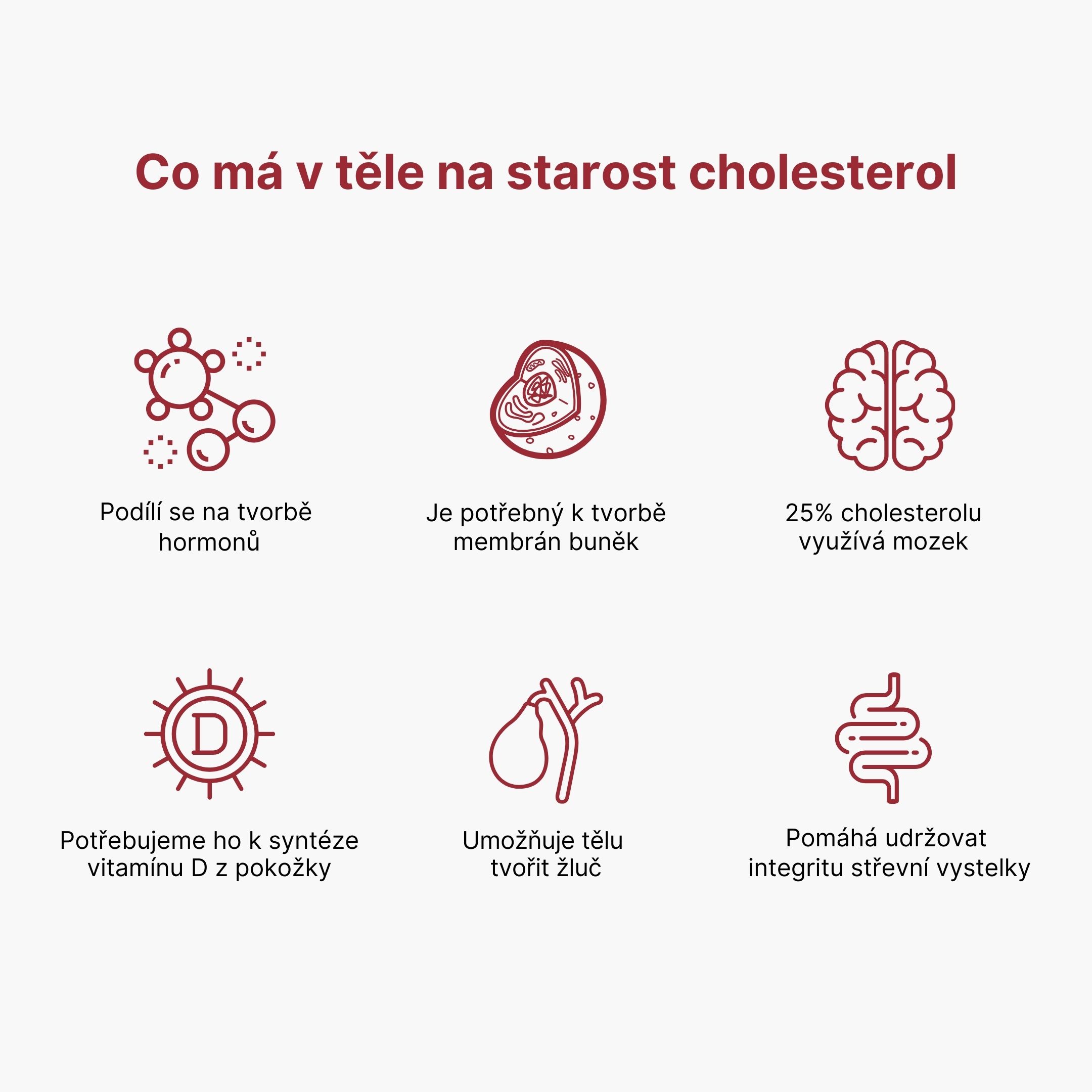 Co má v těle na starost cholesterol (11.6.)_1